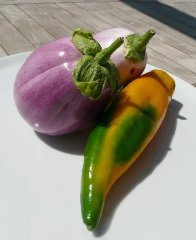 auberginen_paprika-02_lebenslang_hg.jpg