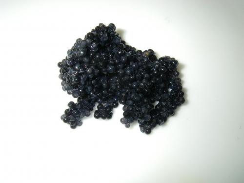 caviar_02_edding400.jpg