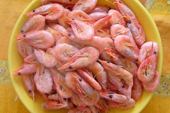 Fisch (mit HG)