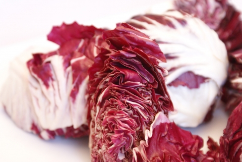 radicchio-wet.jpg