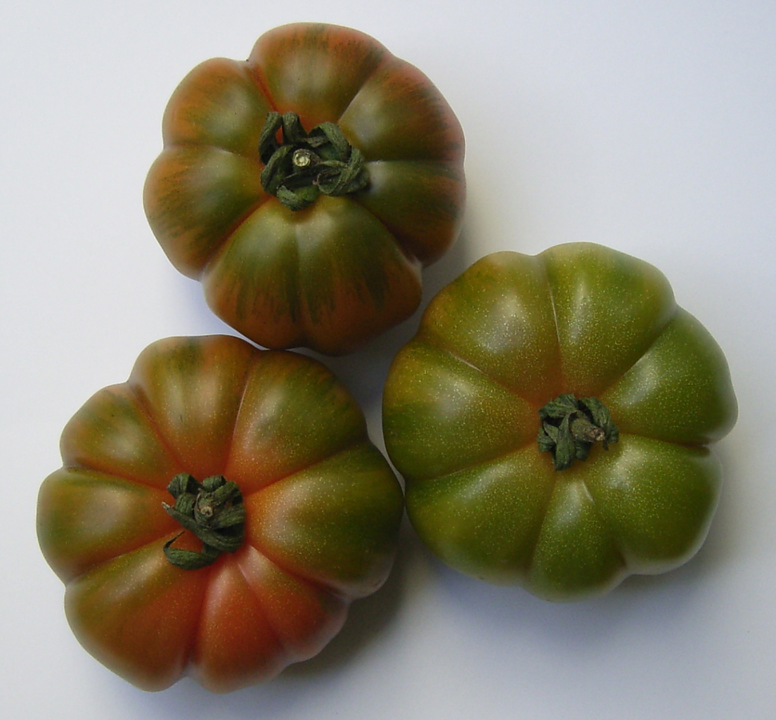 Grüne Tomaten - Lebensmittelfotos.com