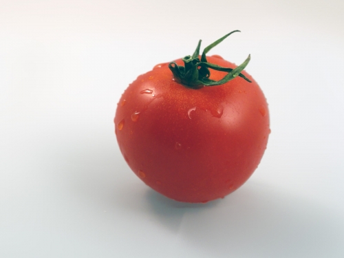 tomate-wet.jpg