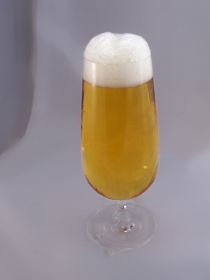 bier-wet.jpg