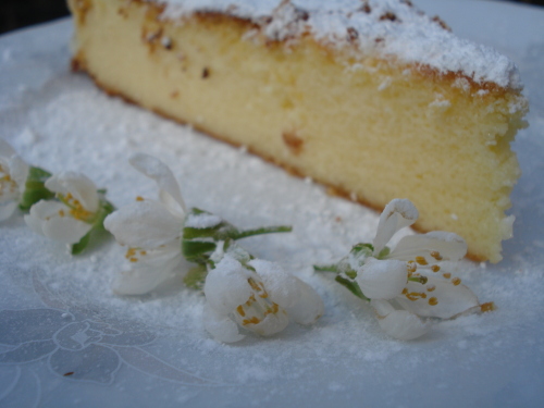 Kaesekuchen_03_dpetereit.JPG