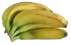 bananen-01-hokamp.jpg