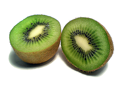 kiwi_bild.jpg