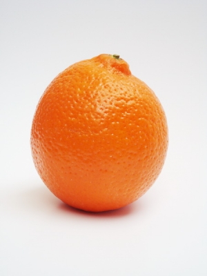 Minneolas_02_dpetereit.500.jpg