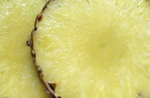 ananas_01_sabinepaul.jpg