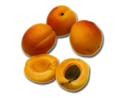 aprikosen_01_dauni.jpg
