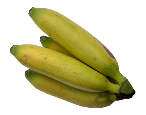 babybananen_fg.jpg