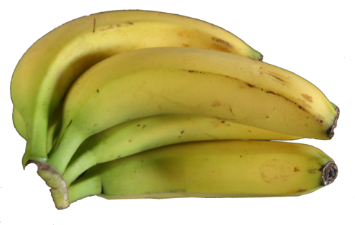 bananen.png