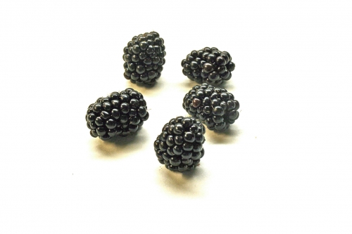 brombeeren_01_dauni.jpg