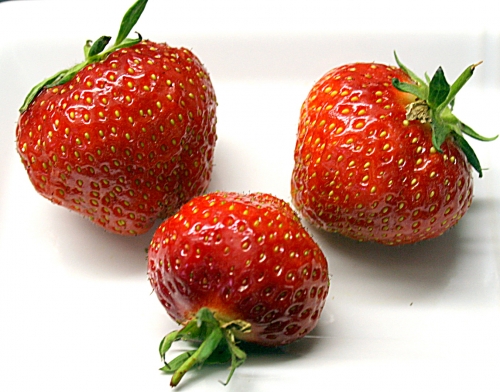 erdbeeren_01_dauni.jpg