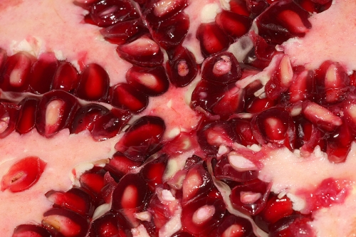 granatapfel-innen_frei_lebenslang