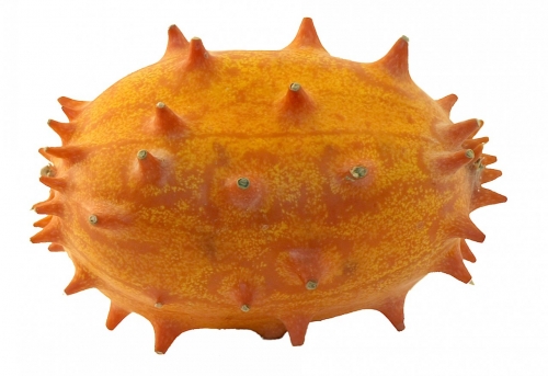 kiwano-ganz_frei_lebenslang