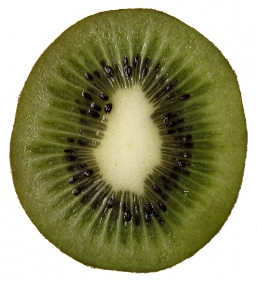kiwi_halb_bstumpf.jpg