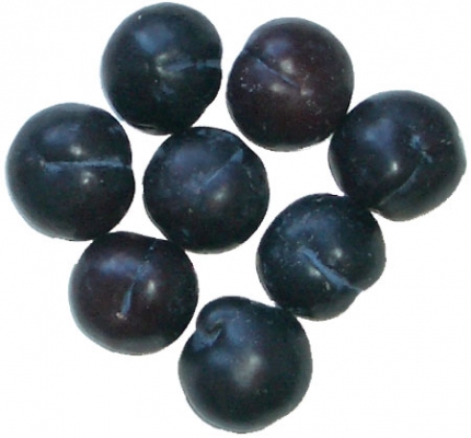 pflaumen_01_amapur.jpg