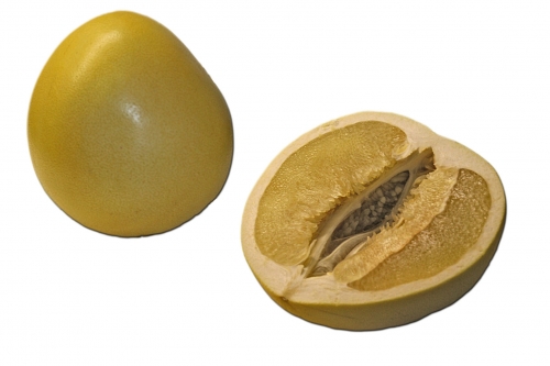 pomello_01_dauni.jpg