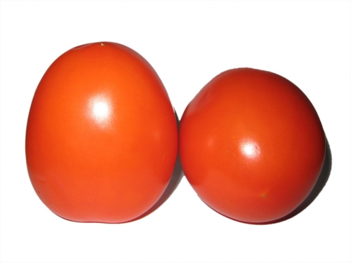 tomaten_001_ulikutting.jpg