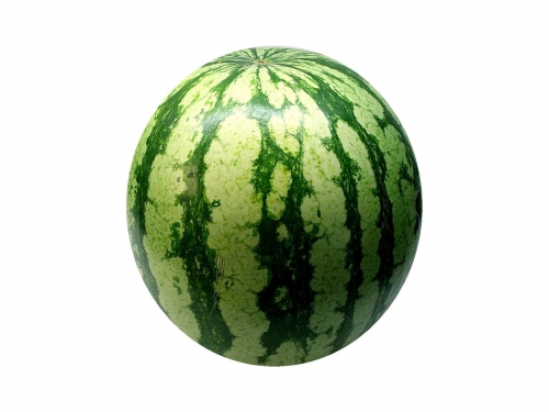 wassermelone_01_dauni.jpg