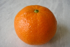 Obst (mit HG)
