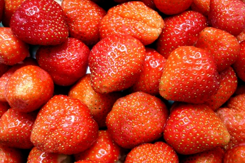 erdbeeren01hg-hufi.jpg