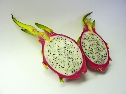 pitahaya_02_dauni