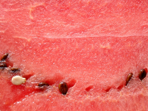 wassermelone_missfits_001.jpg