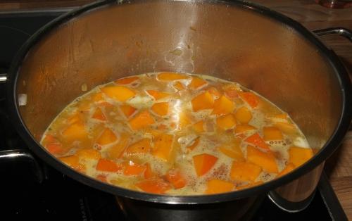 k%c3%bcrbissuppe-st%c3%bcckig_hg_lebenslang