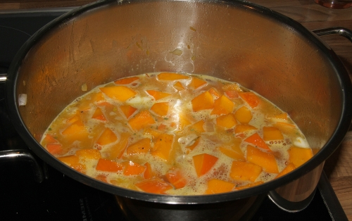 kuerbissuppe-stueckig_hg_lebenslang