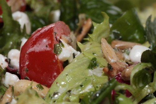 salat-tomate-nuesse-rene-schwietzke