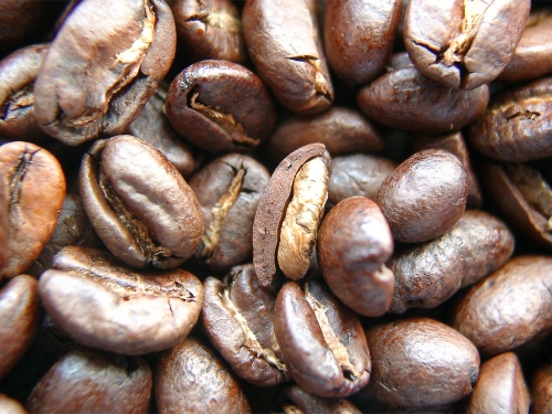 kaffeebohnen_missfits_001.jpg